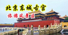 大鸡巴操网中国北京-东城古宫旅游风景区